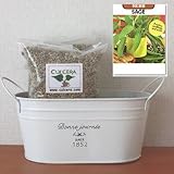 セージの栽培セット/標準セット（液体肥料なし）プランターホワイト仕様