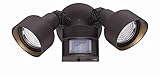 Acclaim LFL2ABZM Motion Activated LED FloodLights Collection 2-Light Outdoor Light Fixture, Architec