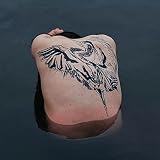ブルー・ヘロン (BLUE HERON)