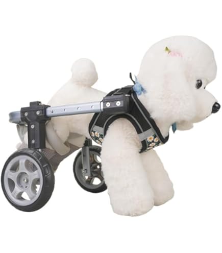 Amazon.co.jp: 大型犬用犬用車椅子障害者用動物前肢後肢パワーカート4