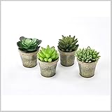 造花 インテリア 観葉植物 イミテーション 植物 DECOR IMITATION BLIKI Lサイズ 4種アソート