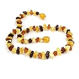 Momma Goose Chip Multi, Small, 11-11.5" [並行輸入品]