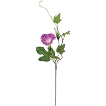 Amazon｜東京堂(Tokyodo) MAGIQ アーティフィシャルフラワー 清風