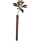 Amazon Co Jp 花瓶 壁掛け花器 試験管 一輪挿し花瓶 木製 ミニ花器 水栽培 フラワーベース 一輪挿し 水耕栽培花瓶 工芸 壁掛け花瓶 玄関廊下装飾花瓶 E 1 ホーム キッチン