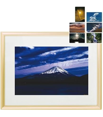 Amazon.co.jp: 秋元隆良 奇跡の写真 ｢金龍｣【金龍カード特典付