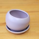 洋風モダン鉢 ベネッシスキュー（受け皿付） 12.5ｃｍ (パープル)