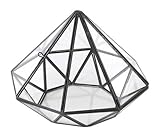 スパイス フラワーベース ガラステラリウム ダイア GFGY4040