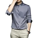 [パグス] メンズ長袖ビスコース・レーヨン無跡カジュアルビジネスシャツ ノーアイロン ストレッチ スリムクール感 春秋タイプ前立てタイプ (L, グレー)