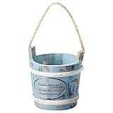 Paseo アミュザンプランター Blue WF-16BL