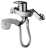 TOTO キッチン用水栓 壁付き ハンドシャワー 寒冷地向け TKGG36EZ