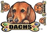 犬ステッカー ダックスフンド15 レッド シール