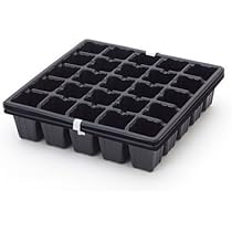 Amazon | エフピコチューパ PSPP容器 セルボックス 36穴 外寸285×285