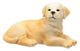YTC Summit 6318 GOLDEN RETRIEVER PUPPY, C-96