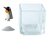 花市場直送便 ミニチュアガラス キングペンギン & カラーサンド シルバー & 植え込み用グラス ニューブロックS