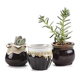 T4U 6CM 陶器鉢 流れ釉（3シェイプ）セット 黒底 植木鉢 多肉植物 サボテン鉢、花鉢 容器 ミ二植木鉢 3個入り