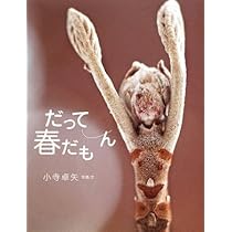 森のいのち | 小寺 卓矢, 小寺 卓矢 |本 | 通販 | Amazon