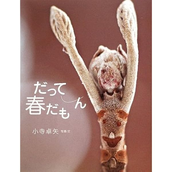 Amazon.co.jp: どうぶつたちのおかいもの (こどものとも700号記念