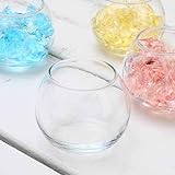 ガラスベース バブルボール SSS エアプランツ 多肉植物 ティランジア ガラス