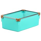 FLEXX 収納ケース フレックスプレミアムメディアトレー (ナチュラルライトブルー)