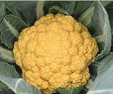 New Arrival Outdoor Plants Garden Sementes Cauliflower Seeds Snow Hot Healthy Vegetable 100 seeds 4