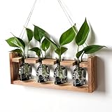 植物繁殖ステーション ハロウィン スカル プラントテラリウムキット ガラス花瓶 父へのギフト エアプランター用