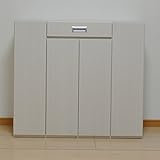 靴箱 幅100 シューズボックス 玄関収納 下駄箱 ロータイプ LEDライト AYU-3-289-F (ホワイト)