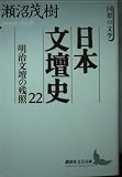 日本文壇史 22 (講談社文芸文庫 せB 4 回想の文学)