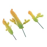 Dovewill 全15種類　　家飾り　植物性多肉植物　　 - ＃3 1ピース大13cm、1ピースミディアム11.2cm、1ピース小9cm