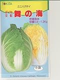 舞の海　トキタの白菜種です