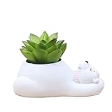 かわいい動物の形の家の装飾多肉植物の花瓶のポットデスクトップフラワーポットミニ盆栽ポット (ホッキョクグマ)