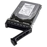 Dell 2TB 7.2K RPM SATA 6Gbps 512n 2.5インチホットプラグハードドライブ、400-AMUQ (2.5インチホットプラグハードドライブ、カスキット)