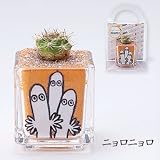 カラーサンドdeムーミン　ニョロニョロ
