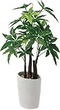 ポピー 観葉植物の造花 ロングパキラオーバルポット