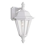 Sea Gull Lighting 8825-15 Outdoor Sconce with ClearGlass Shades, White Finish [並行輸入品]