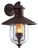 Troy Lighting Old Town 1-Light Outdoor Wall Lantern - Natural Bronze Finish and Clear Seeded with Am