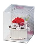 Paseo クリアケース入り プリザーブドフラワー カラフルスウィートS レッド 8×8×H10cm M-10A