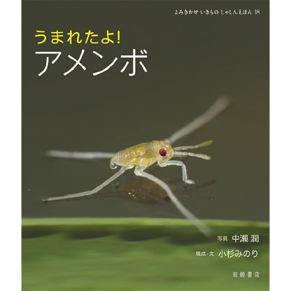 アメンボさま専用 Www Sieca Int