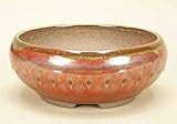 いよじ園 【盆栽鉢】 小石原焼/タイコ鉢丸（大）（辰砂）【径：13cm 高：5.2cm】【小品鉢】