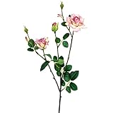 ローズスプレーX5(L) FXFR0010MAV