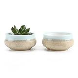 T4U 7CM 陶器鉢 シュガーシリーズ 多肉植物 サボテン鉢 フラワーポット プランター容器 青 2個いり