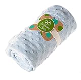 Blue Everyday Minky Dot Baby Blanket by Blossoms & Buds