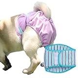 KUVEELA PET 犬用マナーパンツ 犬用 サニタリーパンツ 犬用パンツ 犬用生理パンツ 犬用オムツカバー 女の子 発情期用 通気性 吸水性良い 再利用可能（（新）ブルーボーダー M）