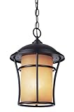 Trans Globe Lighting PL-5252 WB Weathered Bronze Outdoor Hanging Light [並行輸入品]