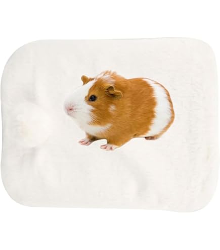 Amazon.co.jp: ウサギ クッション ハムスター マット 冬 暖かい うさぎ