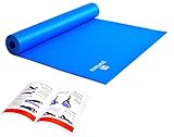 DB Praise ヨガマット Yoga Mat 2色 スポーツ トレーニング ストレッチ 器...