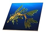 VWPics Oceans – Leafy Sea Dragon – リーフィーシードラゴン – Inエスペランス – タイル 12-Inch-Ceramic ct_46260_4