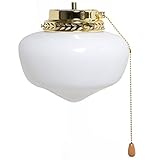 BOSTON HARBOR CF-9SLK-PB Schoolhouse Light Kit, 9-Inch [並行輸入品]