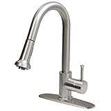 VIGO Harrison Single Handle Pull-Down Spray Kitchen Faucet with Deck Plate, Stainless Steel [並行輸入品]