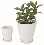 インテリアポット　ラウンドL　ホワイト