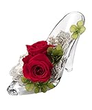 プリ雑貨 プリメヌエット デラックス クリアA/レッド PZ620AR PZ620AR